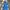 Blue dress with floral details on a textured surface with decorative elements