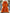 Orange dress with ruffled sleeves and bottom on a hanger against a decorative background.