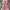 Pink dress with floral details on a gray surface with decorative elements.