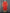 Floral Printed Red A-Line Midi Dress