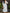 Elegant Lace-up Belted Party Dress