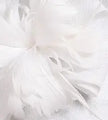 Elegant Mesh Ribbon Fascinator Hat