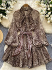 Transparent Chic Leopard Dress