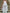 White Party Backless Chiffon Set