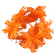 Festive Feather Flower Fascinator