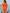 Festive Flower High Waist Dress