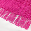 Tassel Fringe Evening Dress