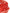 Floral Printed Red A-Line Midi Dress