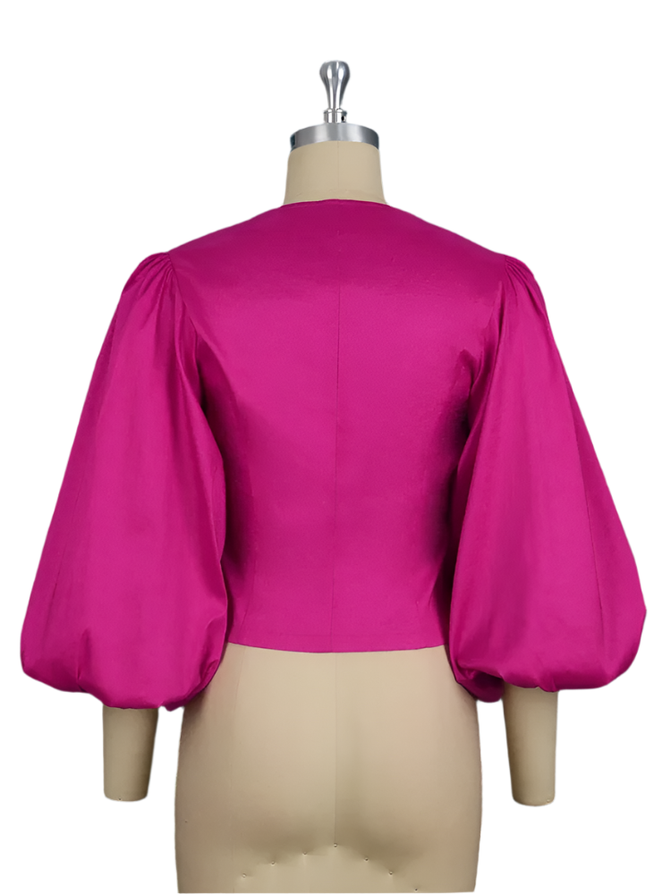 Shiny Glam Lantern Sleeve Blouse