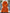 Elegant Pleated Floral Lantern Sleeve Dress